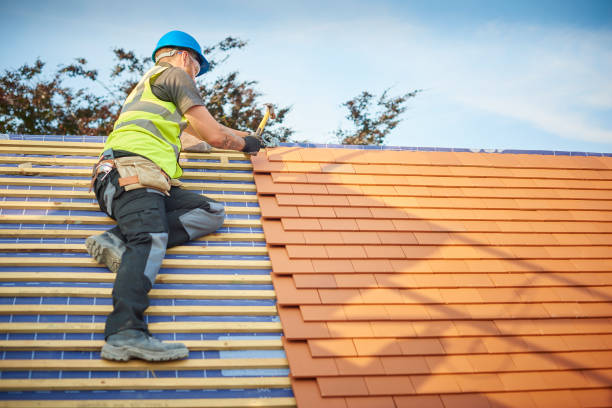 Best Skylight Installation and Repair  in Baldwin, PA